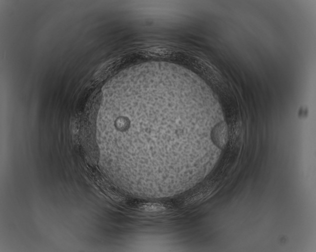 X0000090460749200708031241