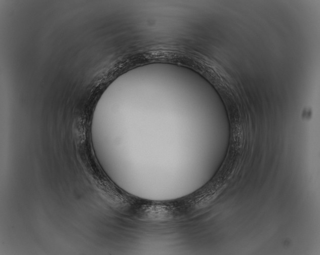 X0000090460751200708031241