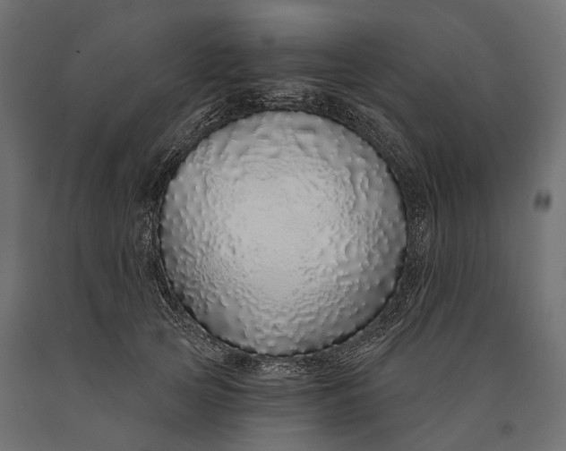 X0000090460753200708031241