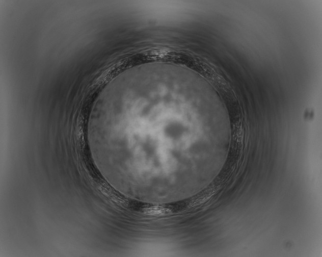 X0000090460754200708031241
