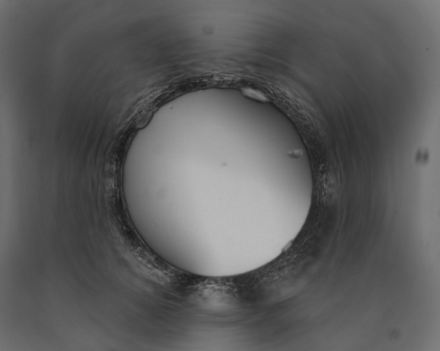 X0000090460756200708031241