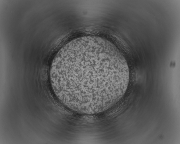 X0000090460757200708031241