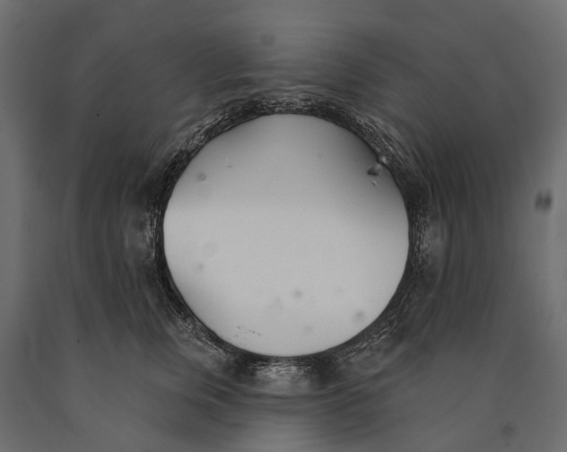 X0000090460759200708031241