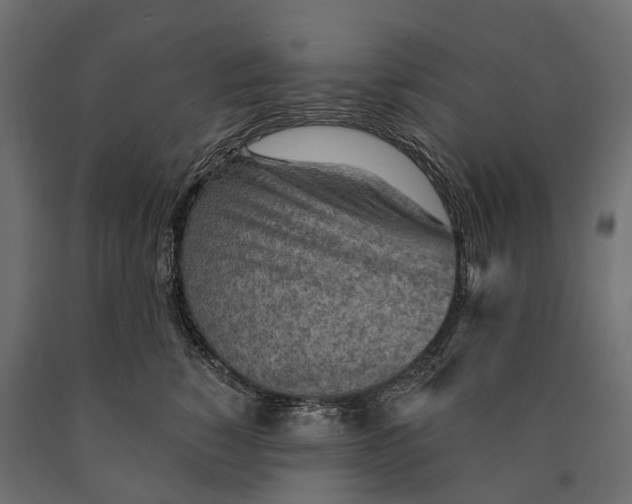 X0000090460760200708031241