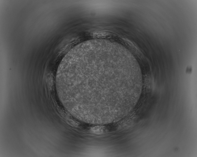 X0000090460761200708031241