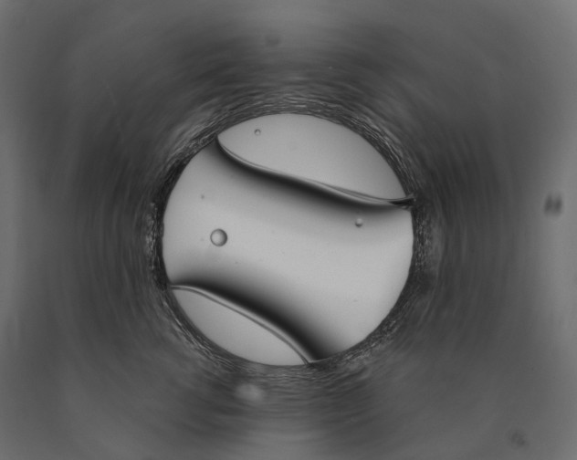 X0000090460762200708031241