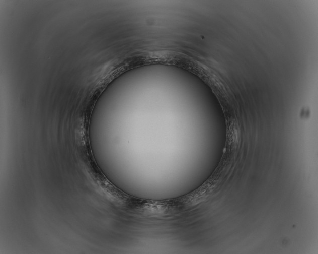 X0000090460764200708031241