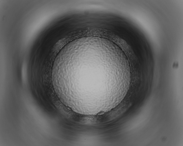X0000090460765200708031241