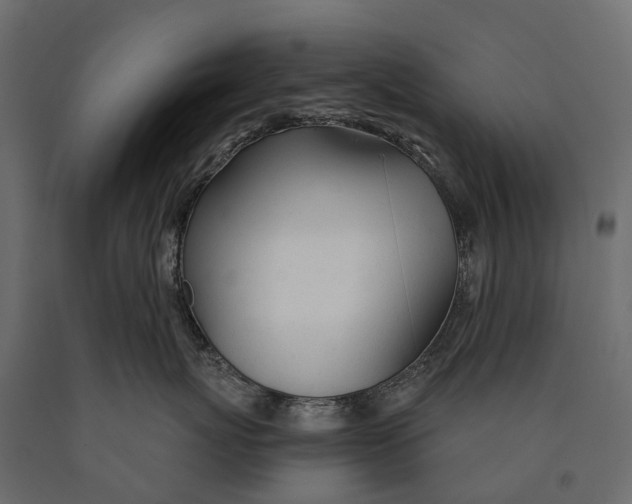 X0000090460767200708031241