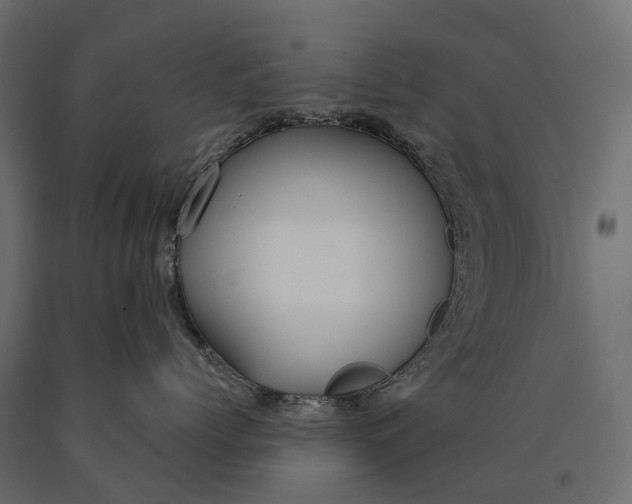 X0000090460768200708031241
