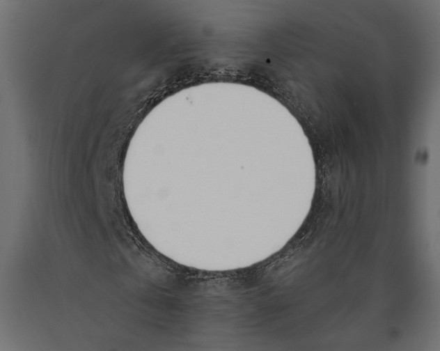 X0000090460769200708031241