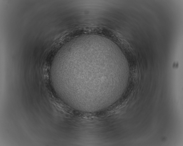 X0000090460770200708031241