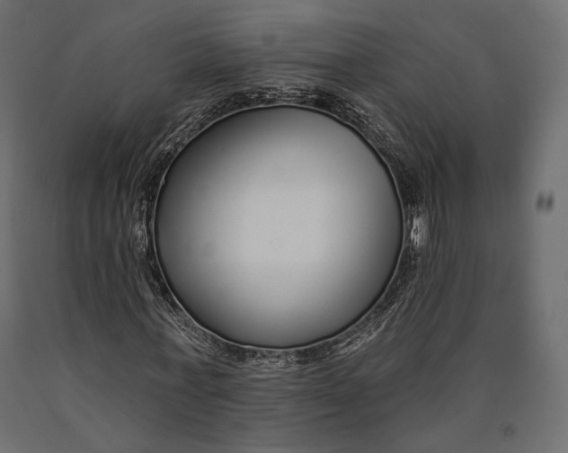 X0000090460771200708031241