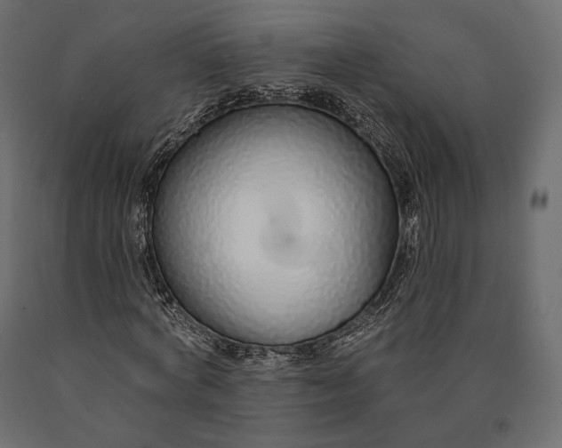 X0000090460772200708031241