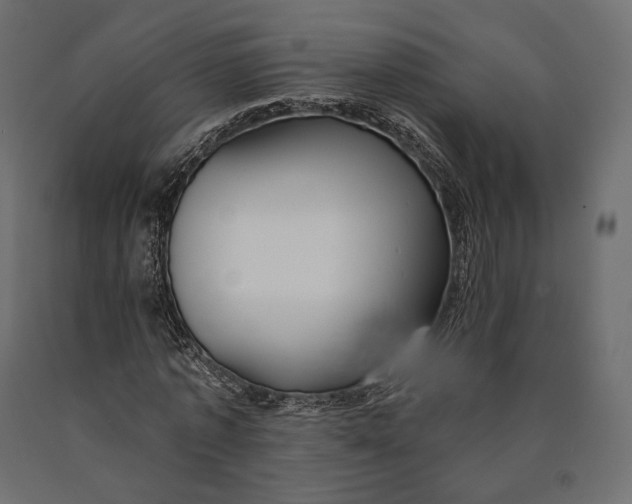 X0000090460773200708031241