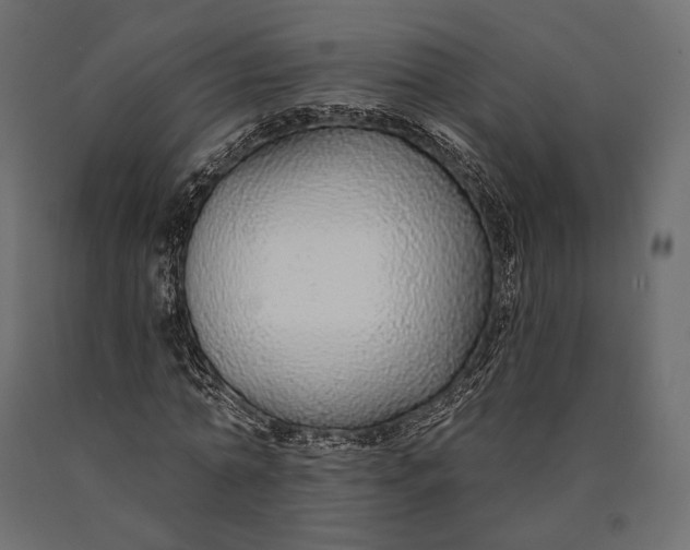 X0000090460774200708031241