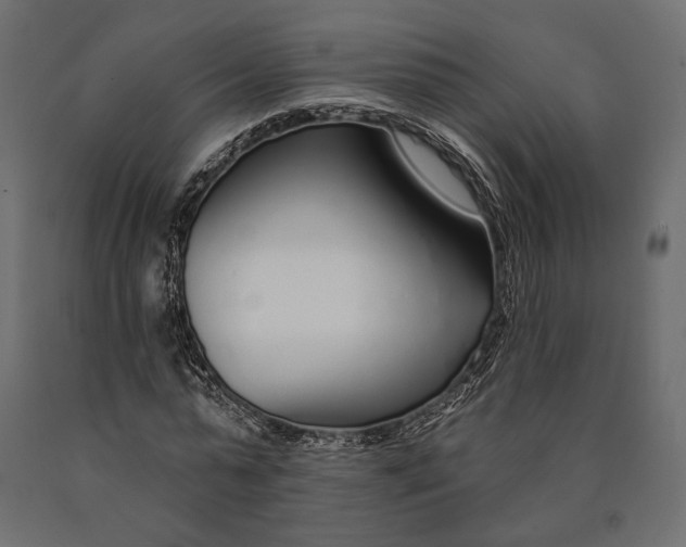 X0000090460775200708031240