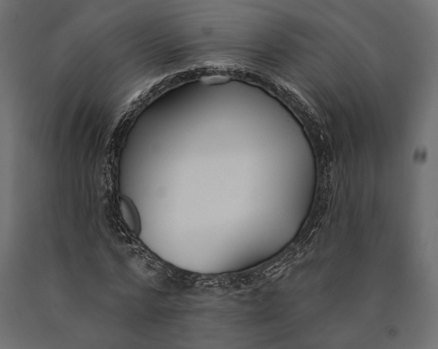 X0000090460776200708031240