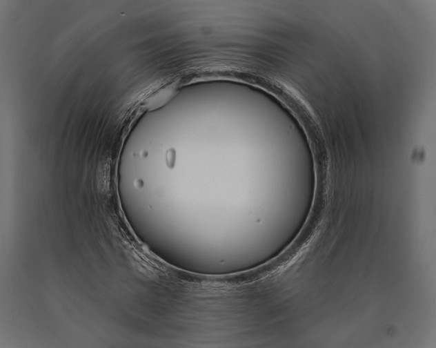X0000090460777200708031240