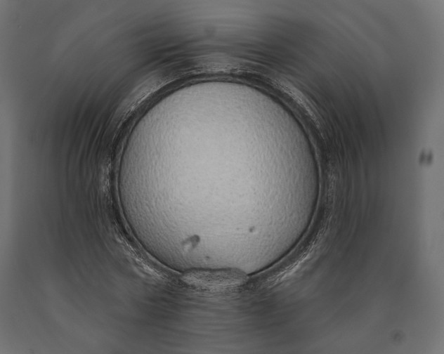 X0000090460778200708031240