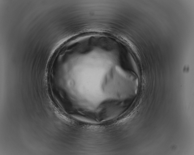 X0000090460779200708031240