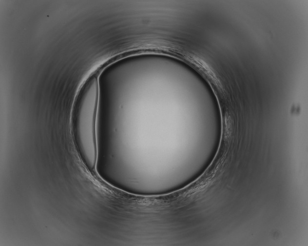 X0000090460780200708031240