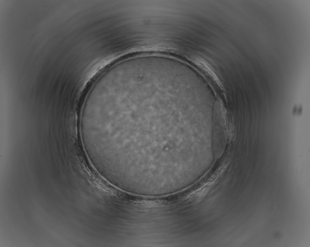 X0000090460781200708031240