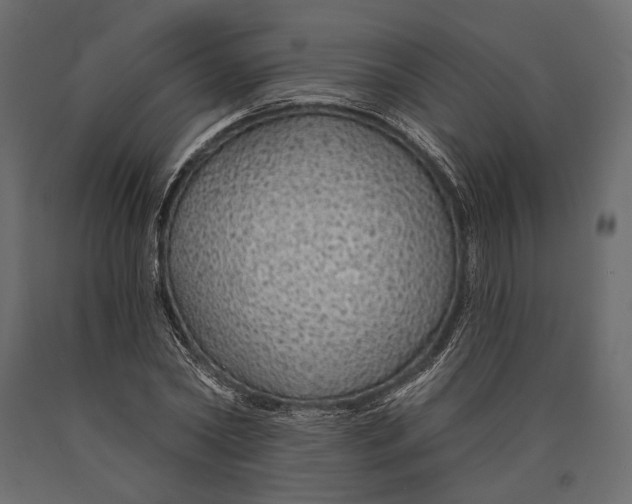 X0000090460782200708031240