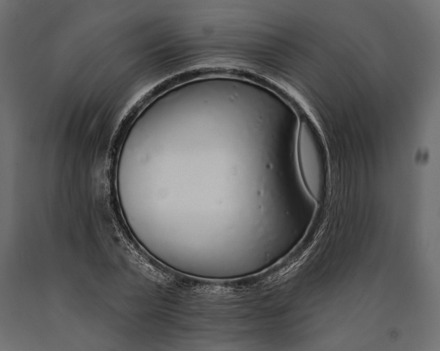 X0000090460783200708031240