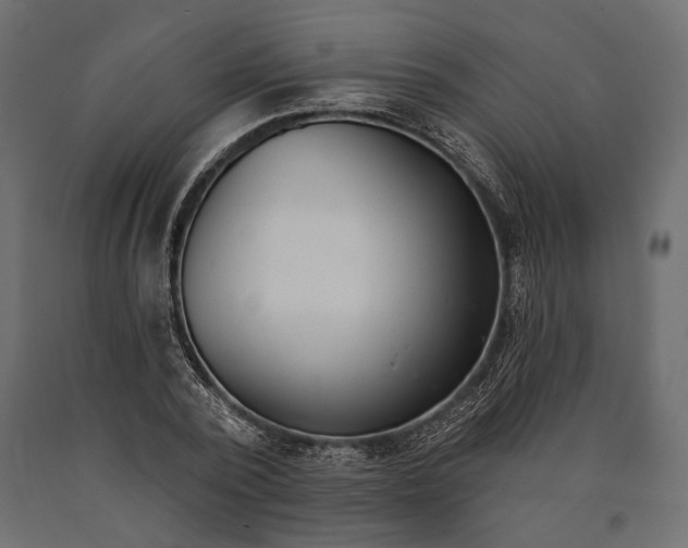 X0000090460784200708031240