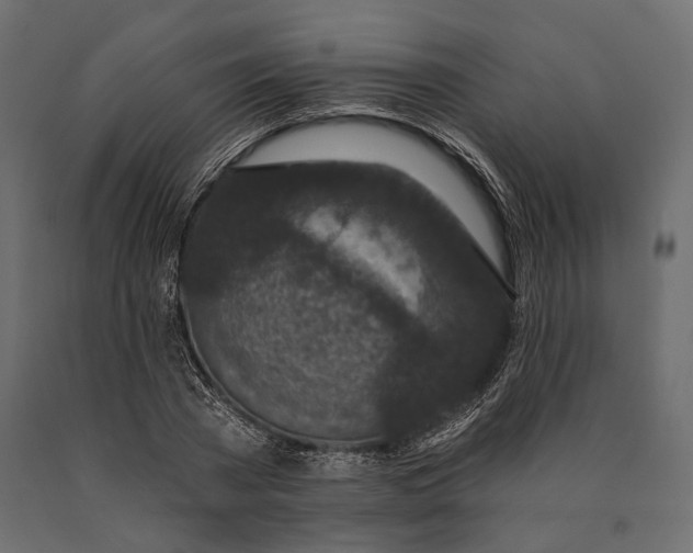 X0000090460785200708031240