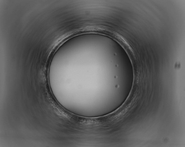 X0000090460786200708031240