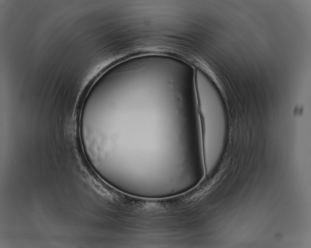 X0000090460787200708031240