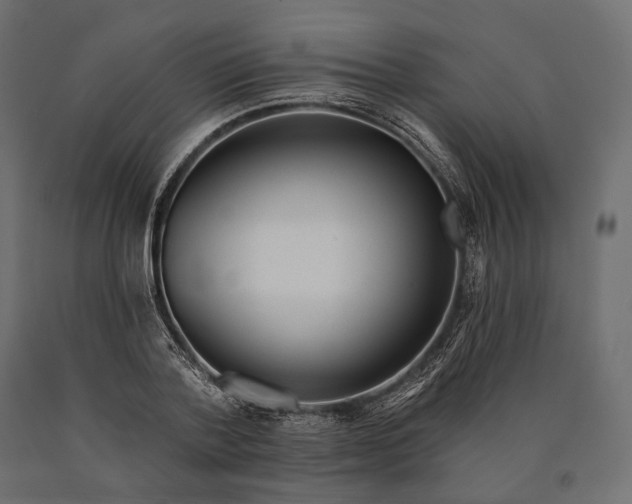 X0000090460788200708031240