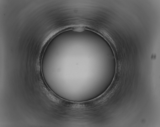 X0000090460789200708031240