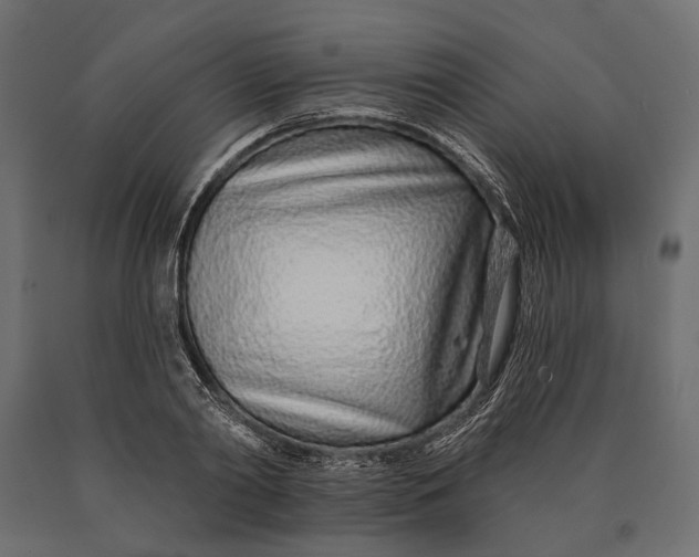 X0000090460790200708031240