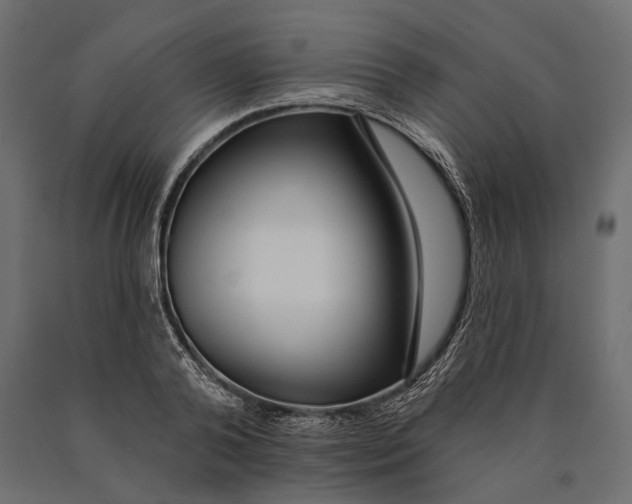 X0000090460792200708031240