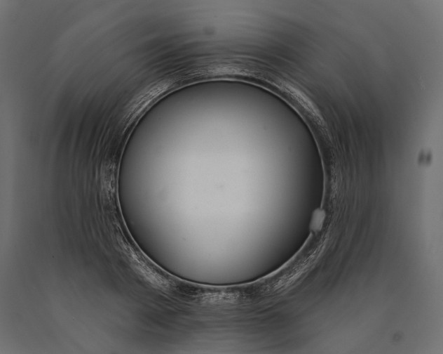 X0000090460793200708031240