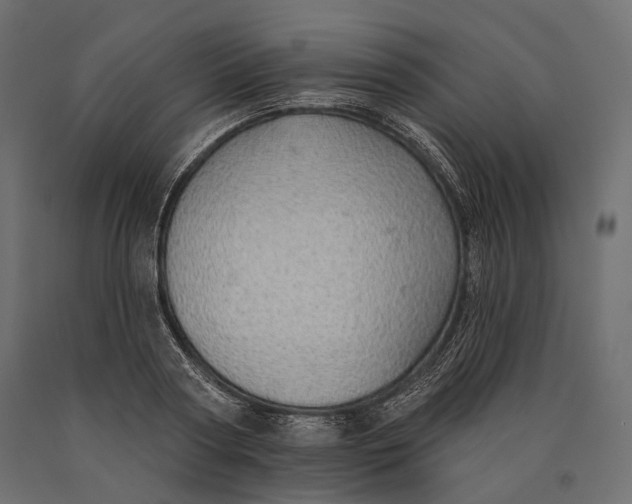 X0000090460794200708031240