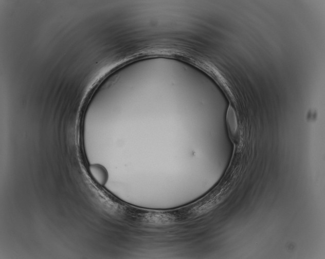X0000090460795200708031240