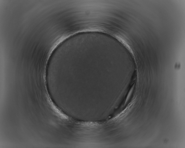X0000090460797200708031240