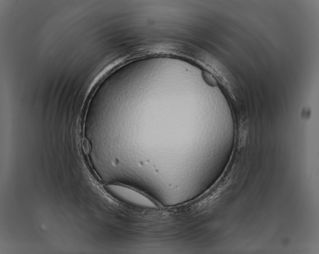 X0000090460798200708031240