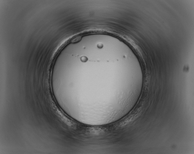 X0000090460799200708031240
