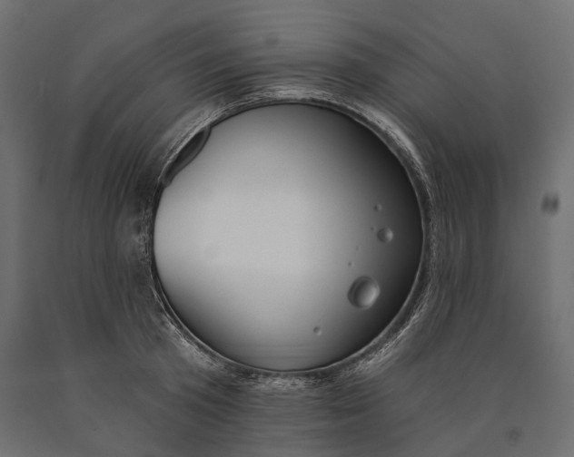 X0000090460801200708031240