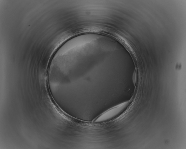 X0000090460802200708031240