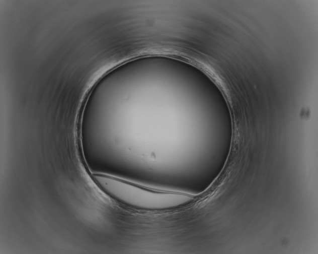 X0000090460803200708031240