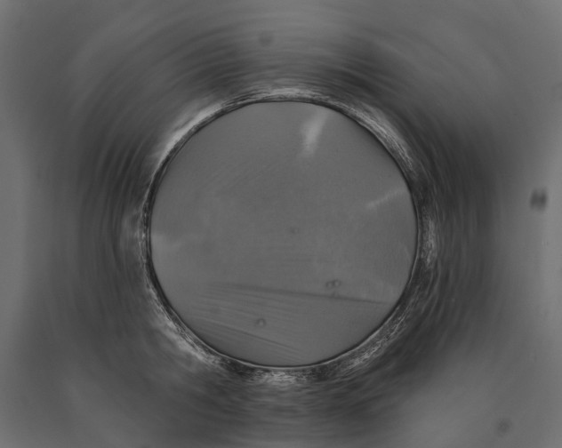 X0000090460806200708031240