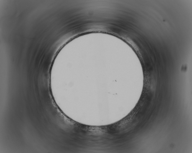 X0000090460807200708031240