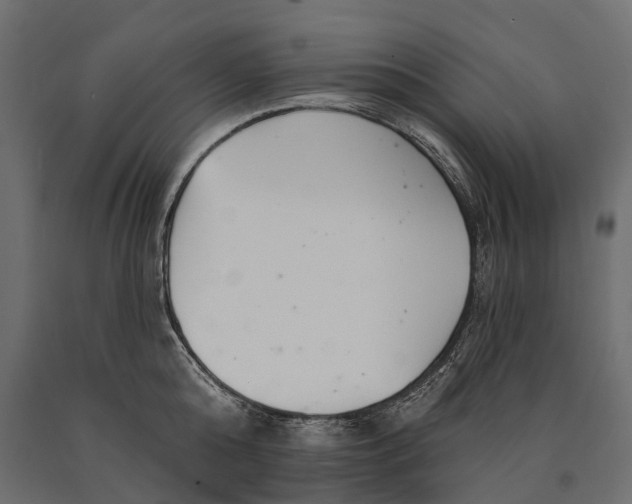 X0000090460808200708031240