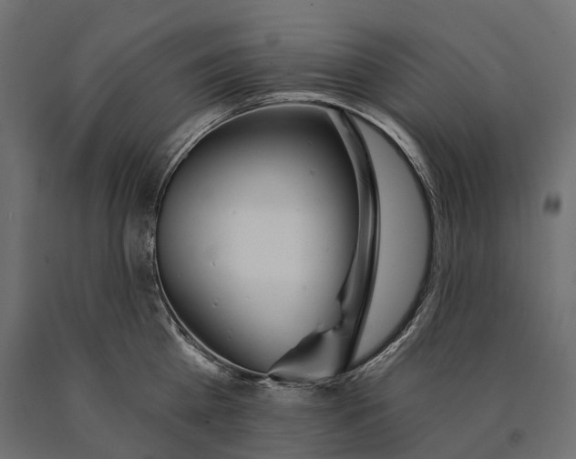 X0000090460809200708031240
